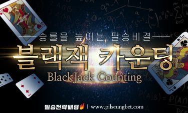 블랙잭 카운팅(blackjack card counting)이란?